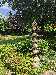 PXL_20250617_114446536.jpg